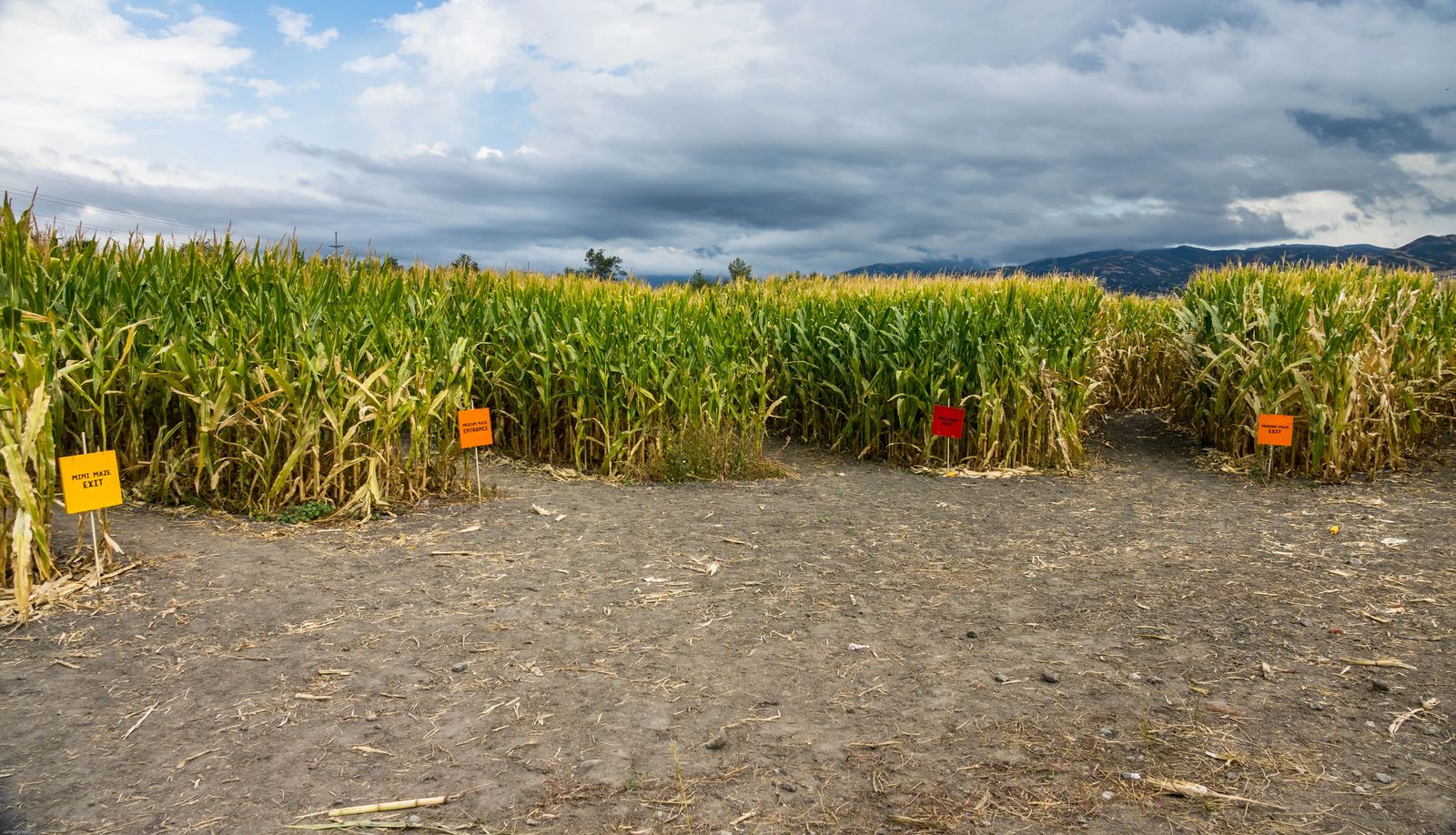 signs at different entrances to corn mazes