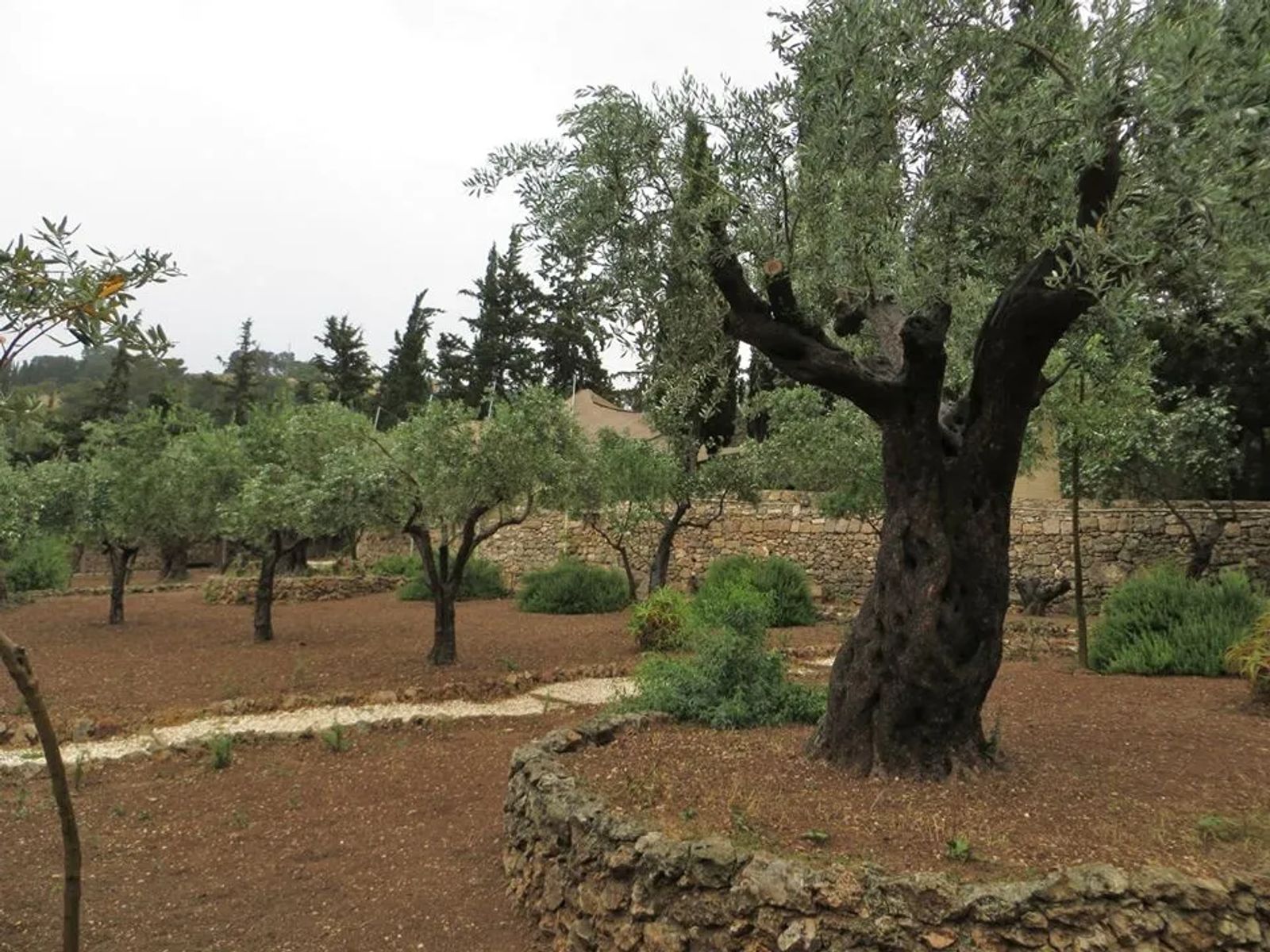 Garden of Gesthemene