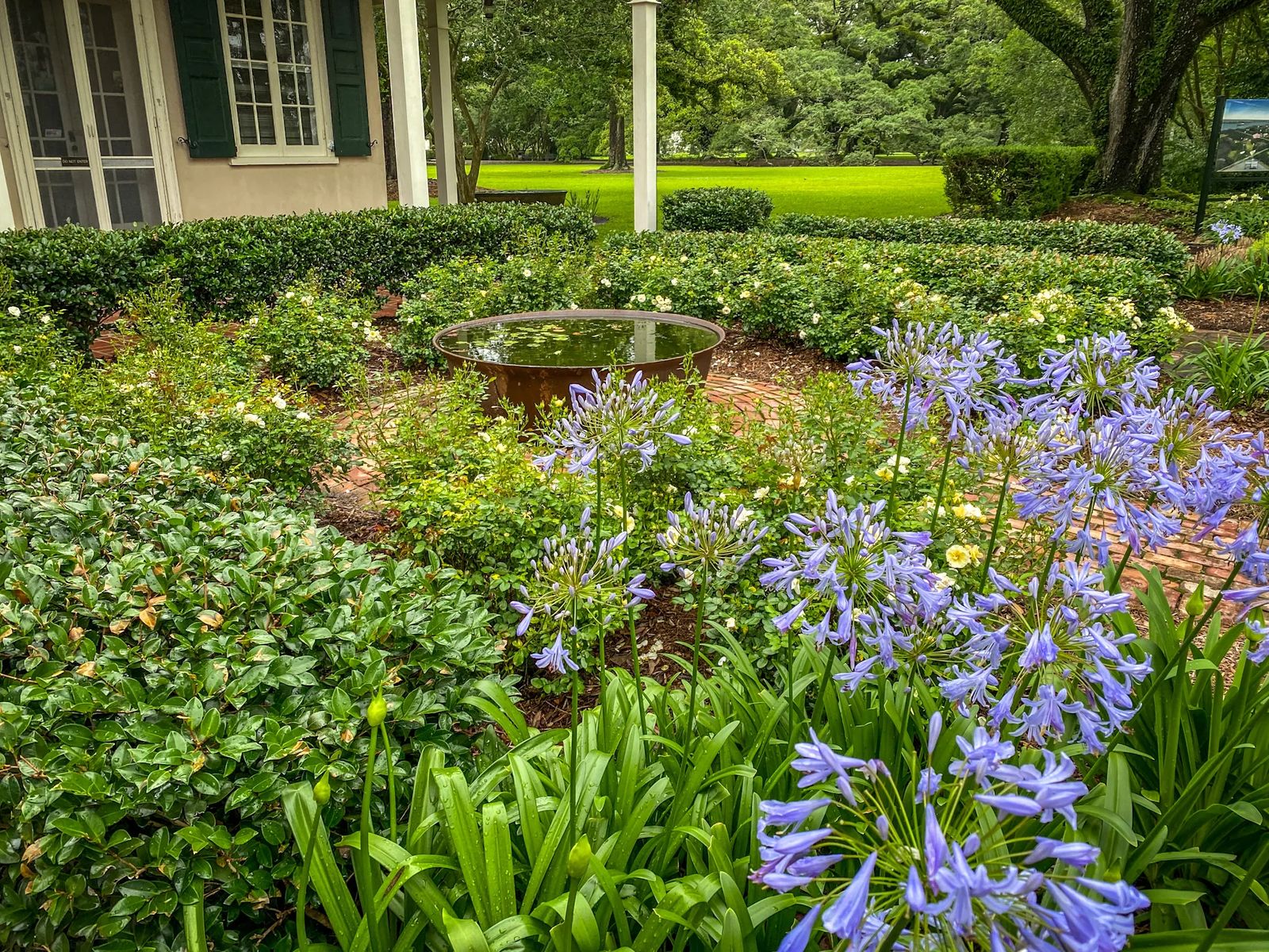 Blue bonnet flowers in carefully manicured garden with metal basin full of water