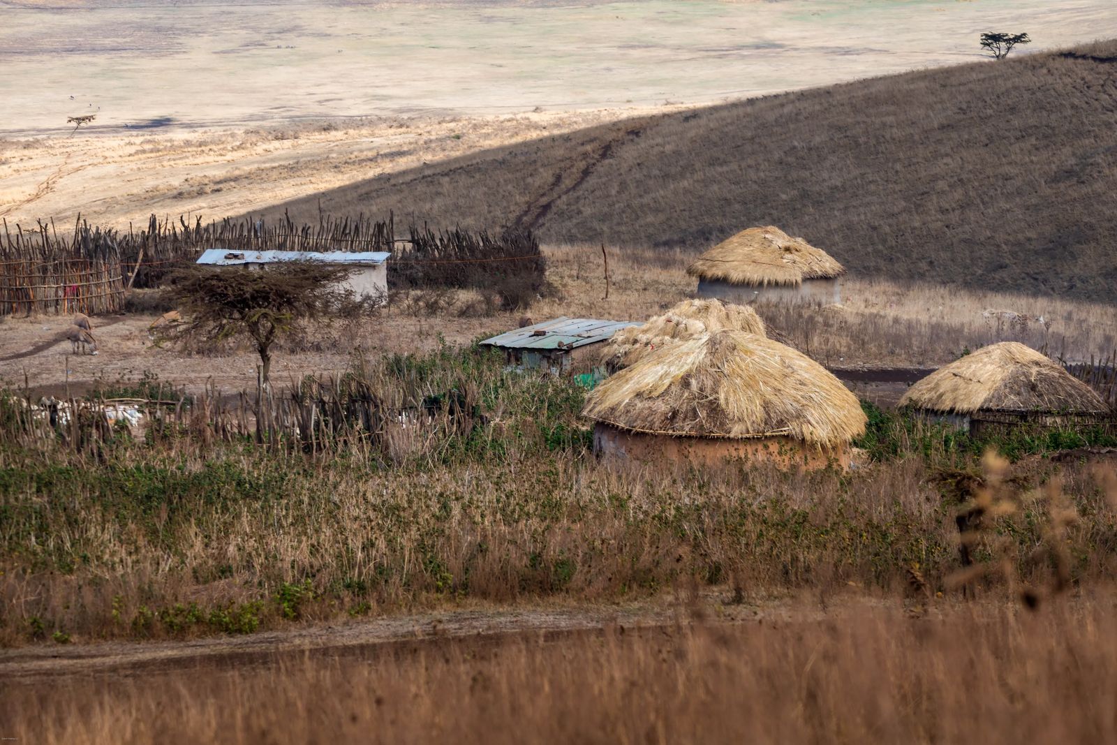 Ngorongoro  Crater Safari Massai Village