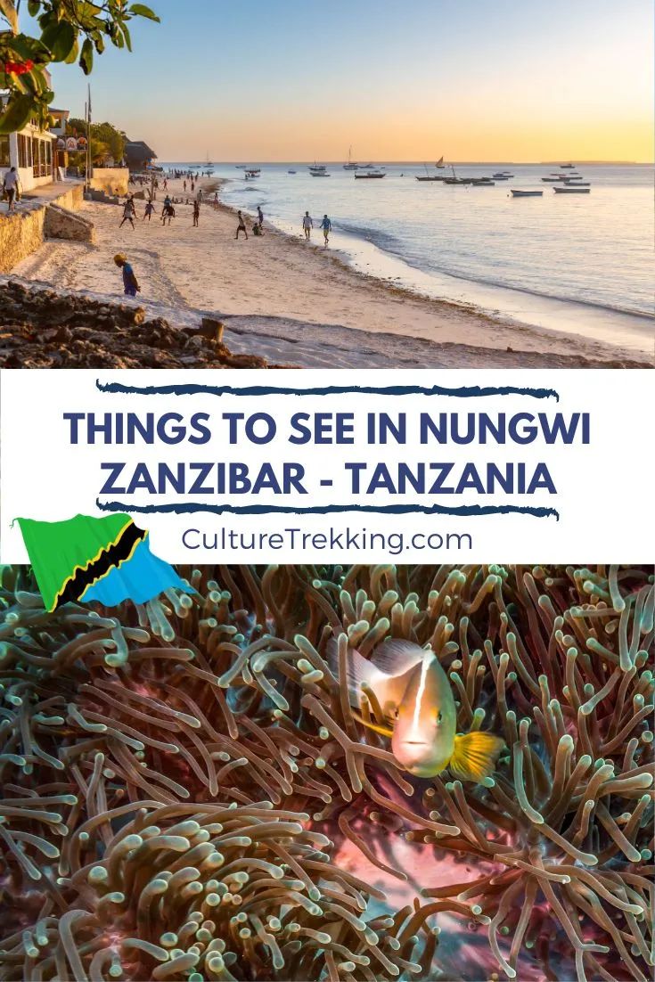 Things To Do In Nungwi Zanzibar