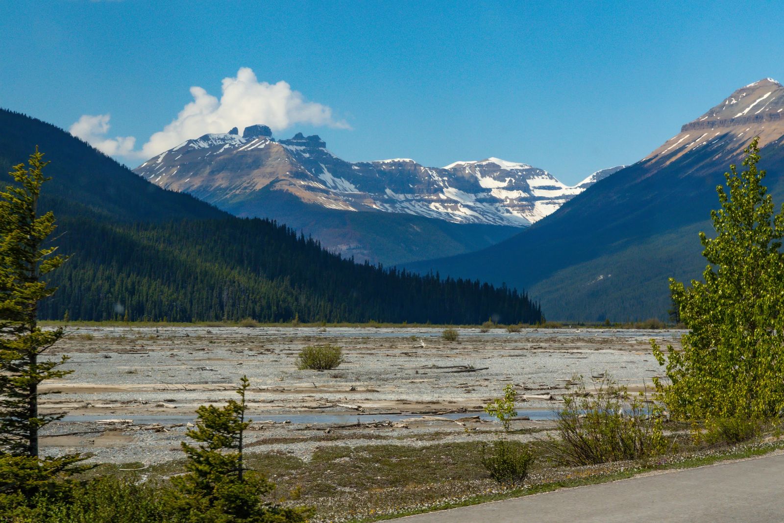 Sunwapta Valley - The BEST of the Icefields Parkway Banff