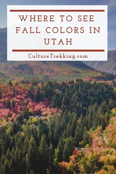 Best Places To See Fall Colors in Utah (A Local's Guide)