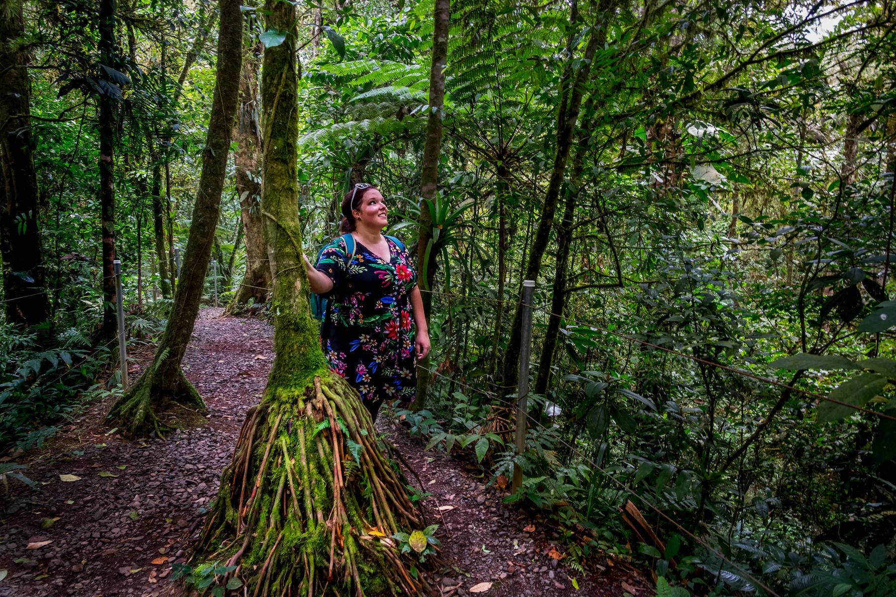 Monteverde Cloud Forest Reserve Trails