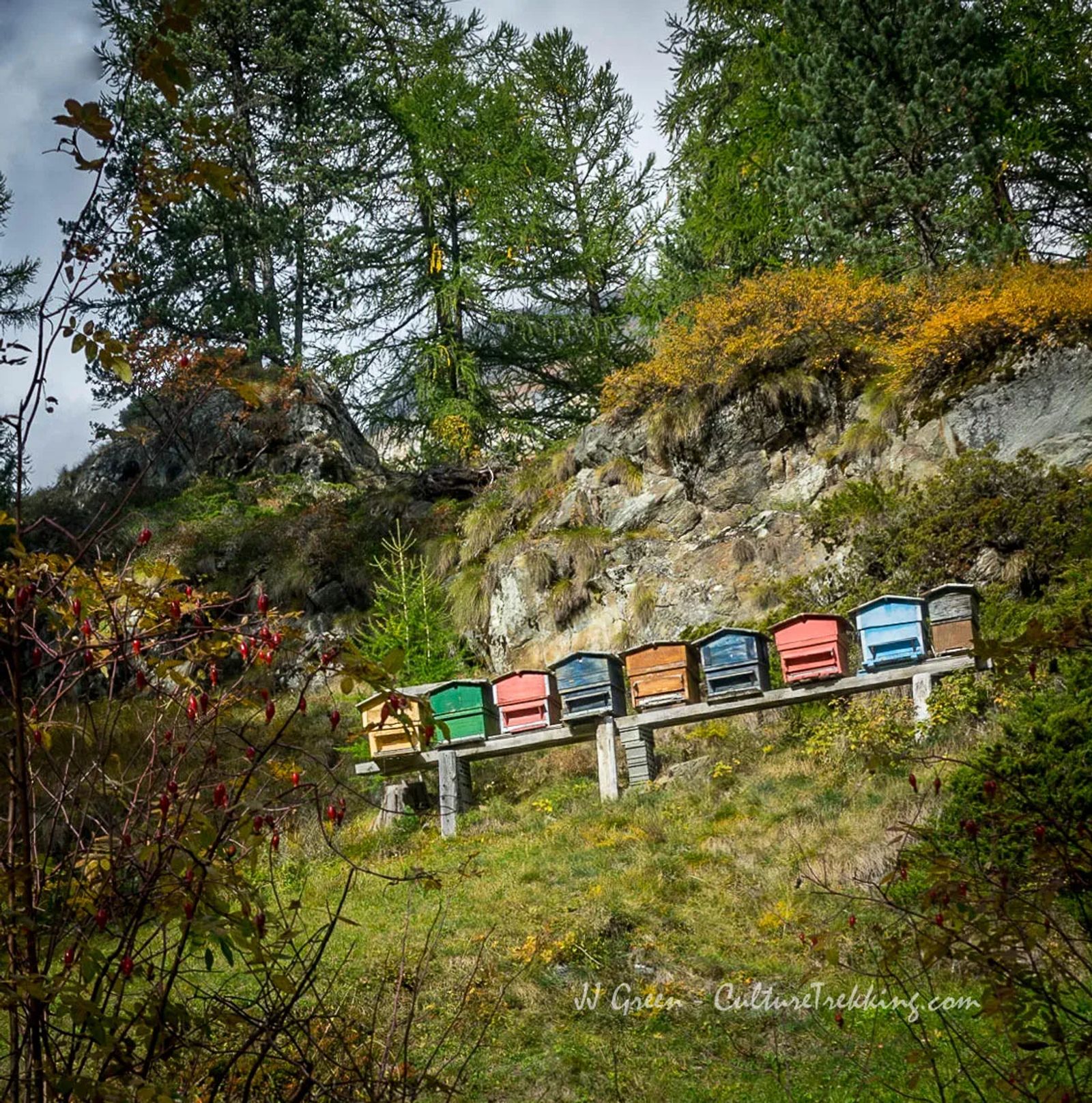 Hiking in Zermatt