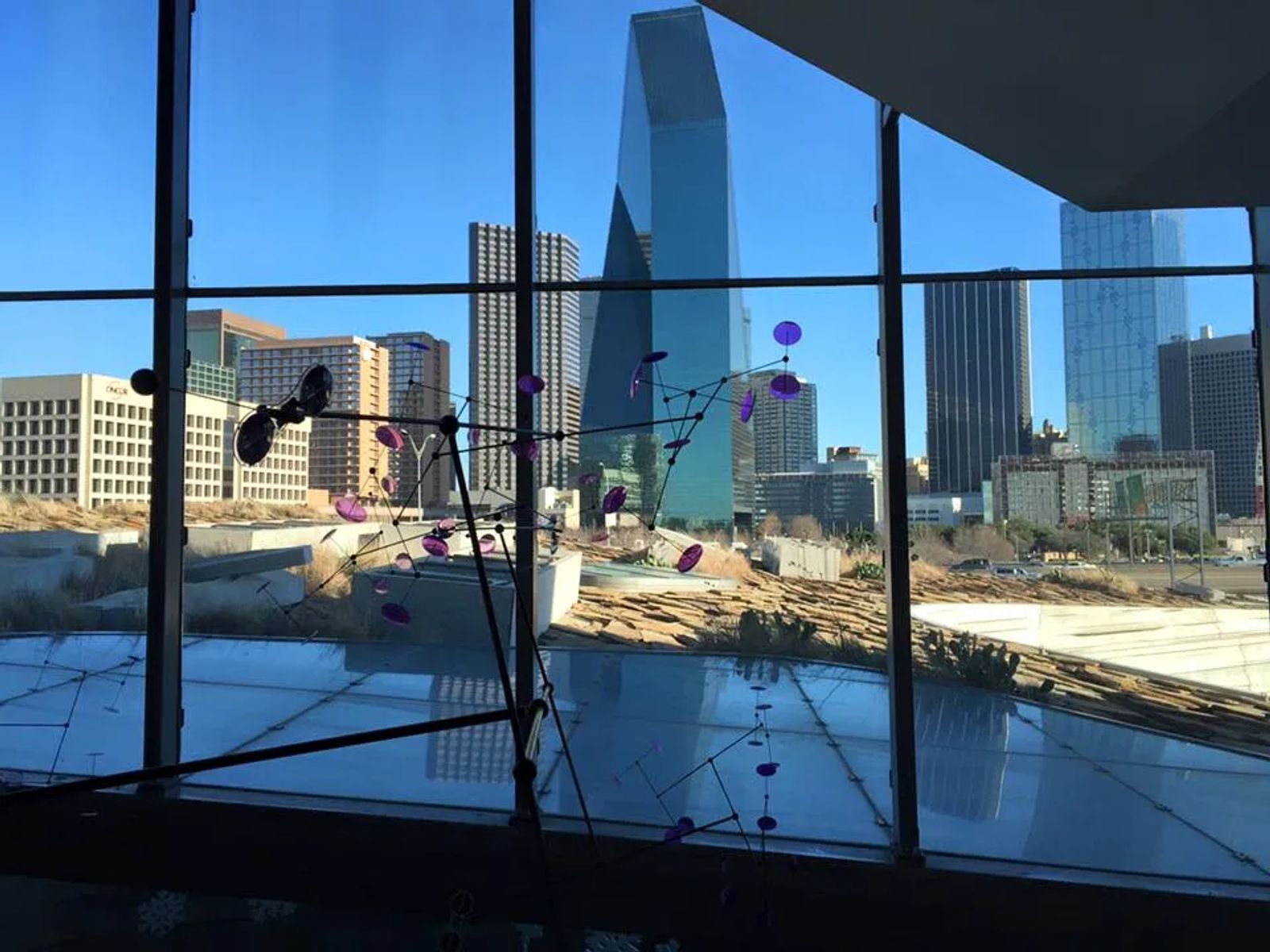 Unique Things to do in Dallas Texas (from a Local)