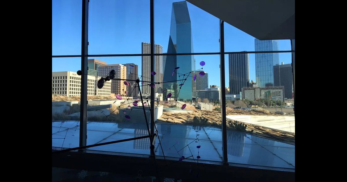 Unique Things to do in Dallas Texas (from a Local) - Culture Trekking