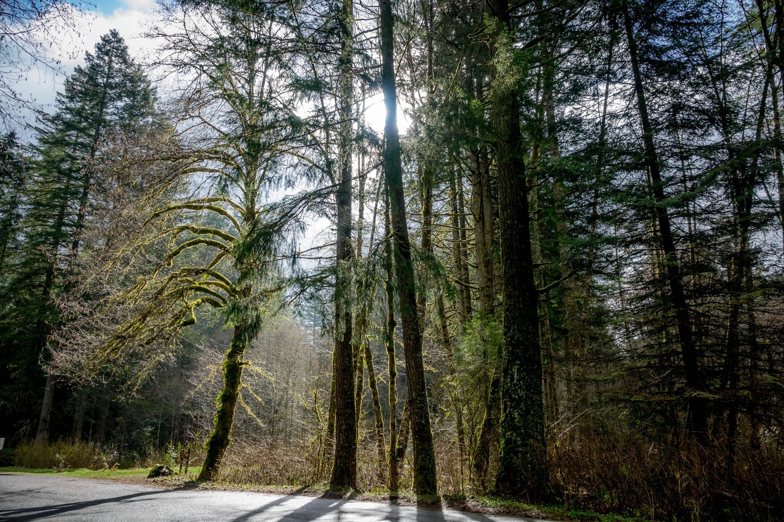 Oregon Coast Camping Road trip