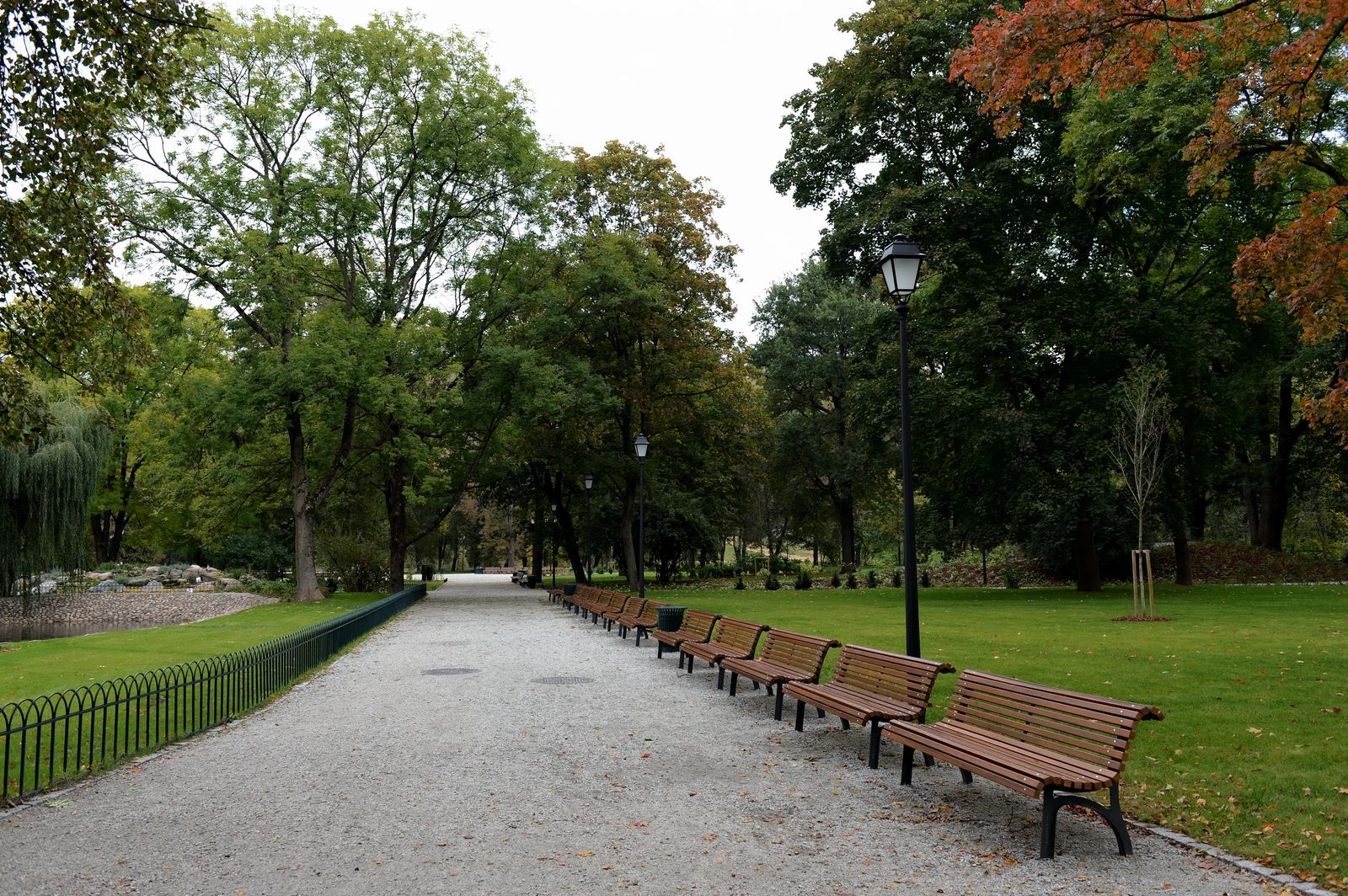 benches in a park in Vilnius