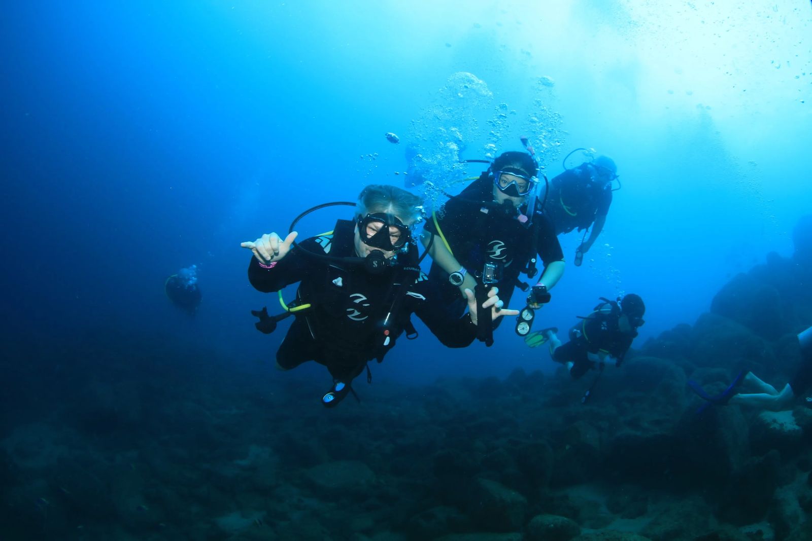 Diving in Cabo San Lucas Mexico - Culture Trekking - #CaboSanLucas #mexico #divingincabo