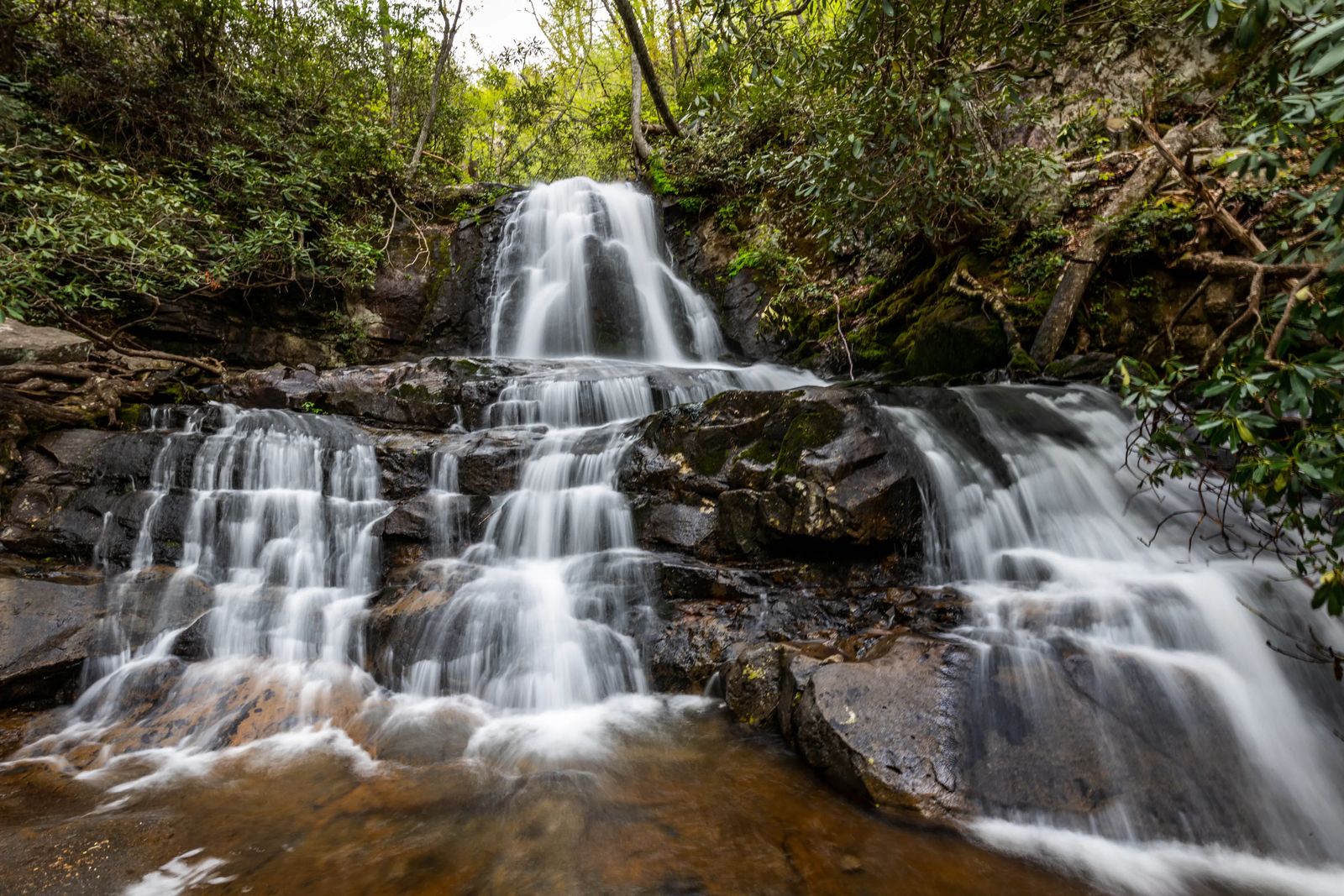 Things To Do in Smoky Mountain National Park