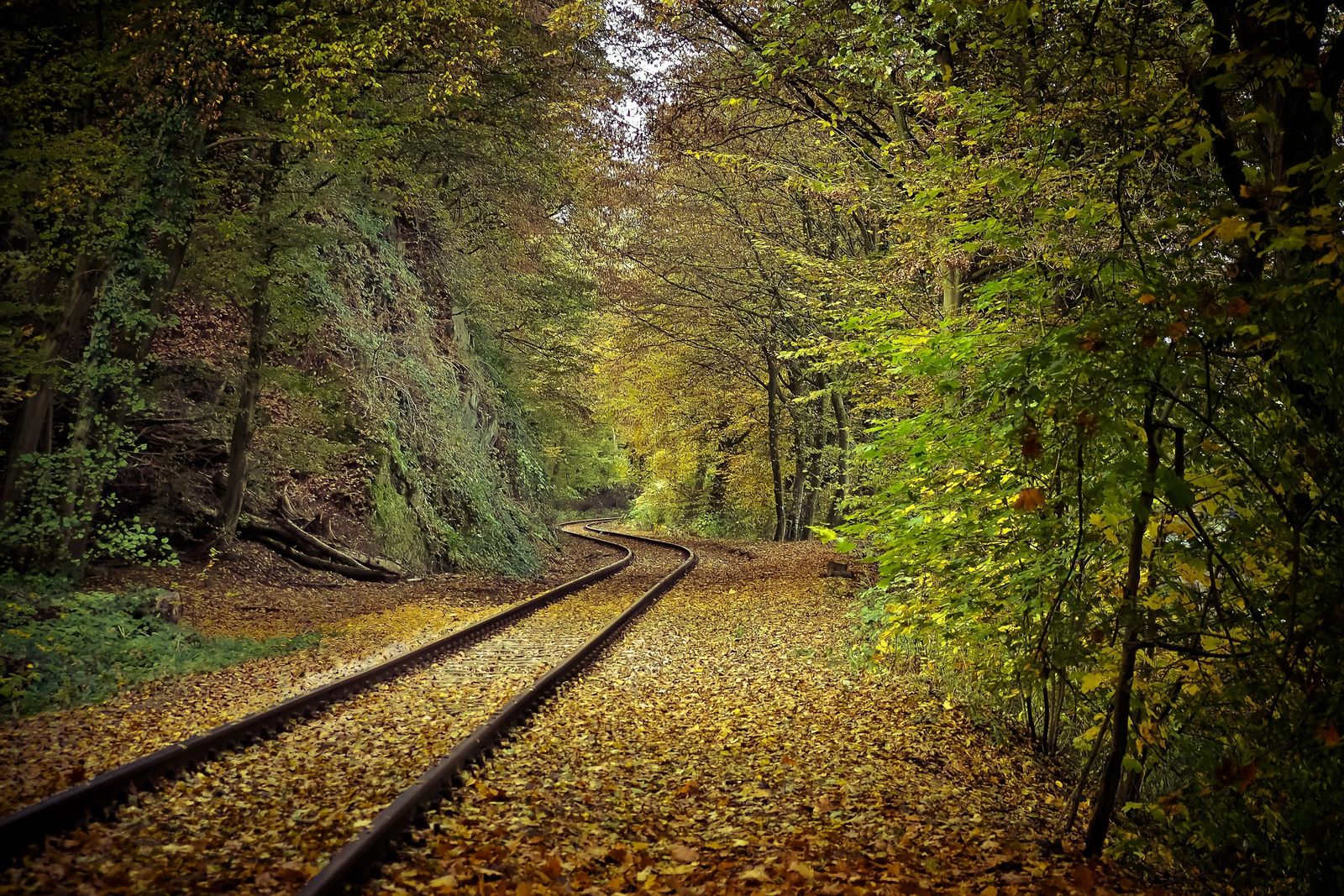 Scenic Road Trip For Fall Colors In The USA