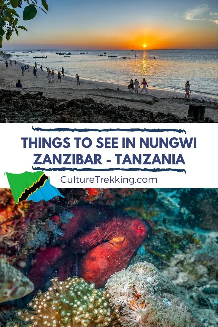 Things To Do In Nungwi Zanzibar