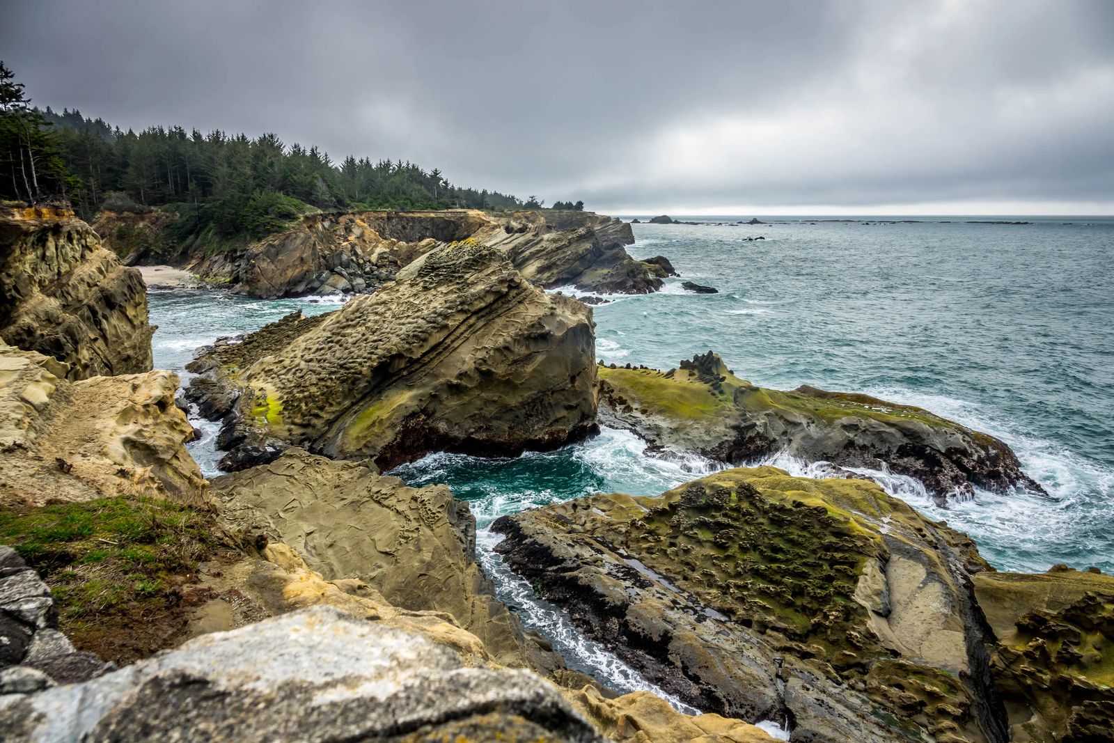 Oregon Coast Camping Road trip