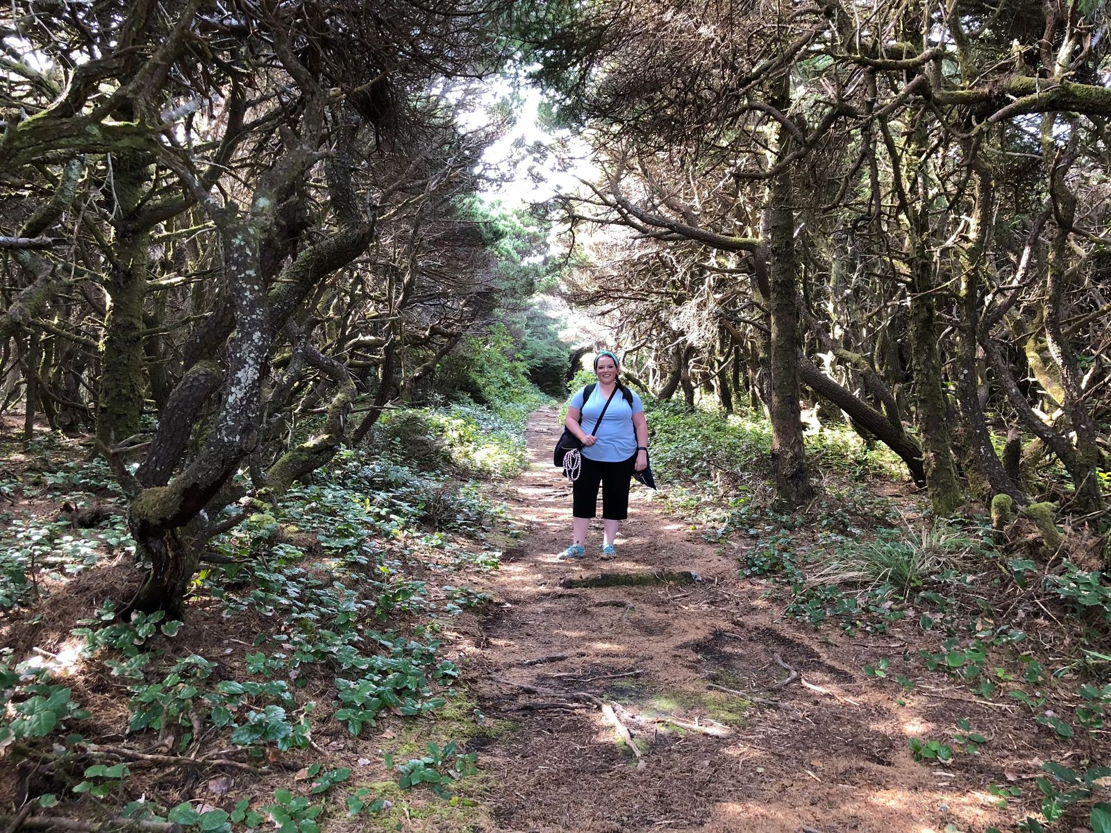 Oregon Coast Camping Road trip