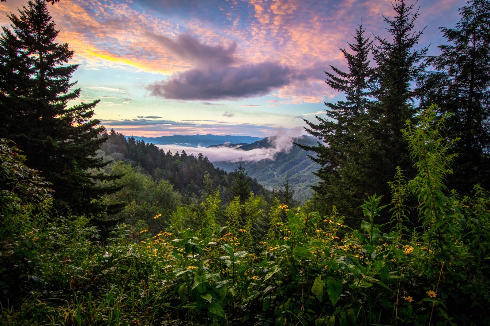 Things To Do in Smoky Mountain National Park