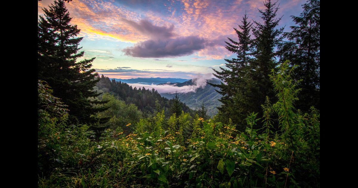 Things To Do In Smoky Mountain National Park - Culture Trekking