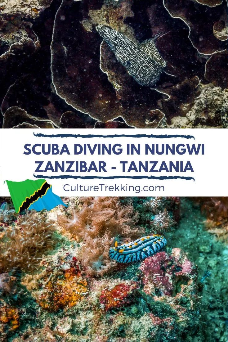 Scuba Diving in Nungwi Zanzibar