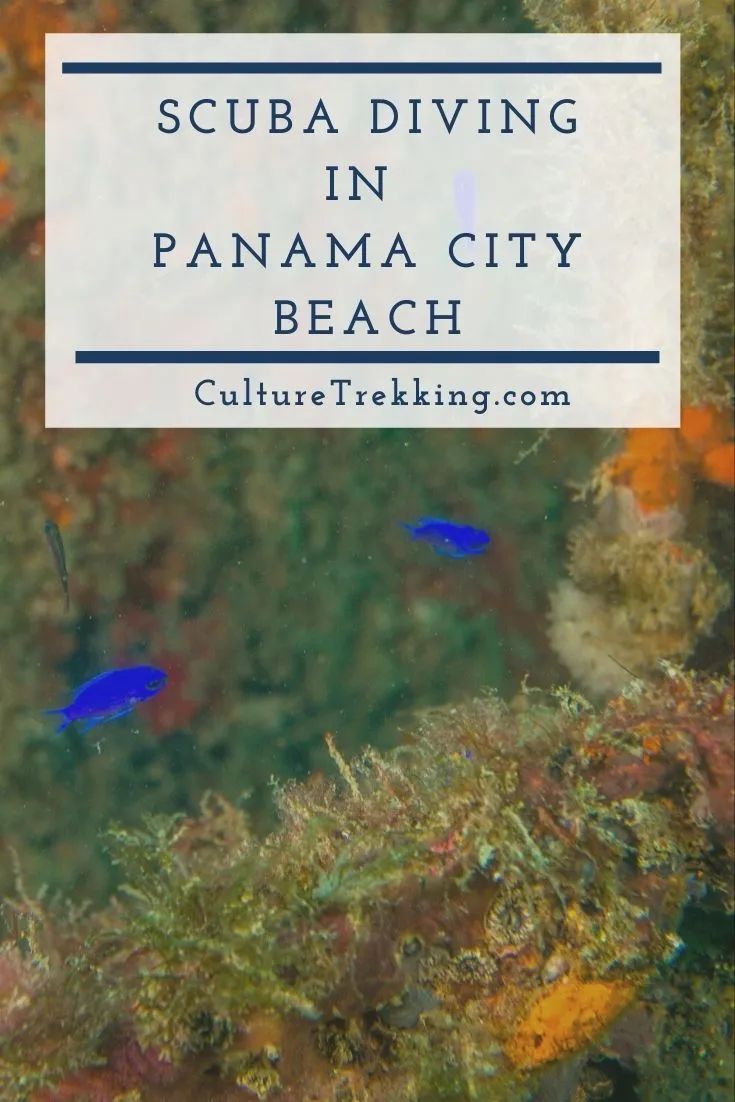 Scuba Diving in Panama City Beach Florida | A Weekend Getaway