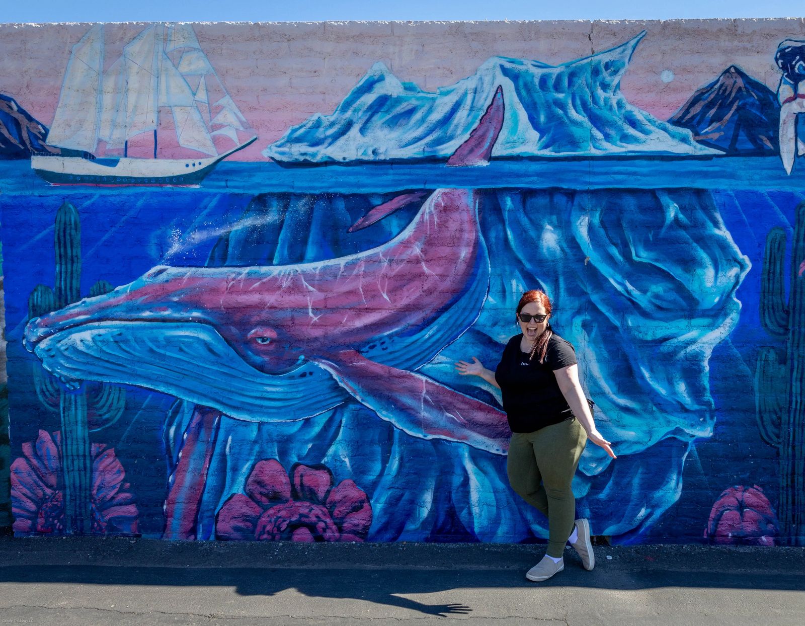 Mural of Whale in Pheonix - Downtown Phoenix in 48 Hours