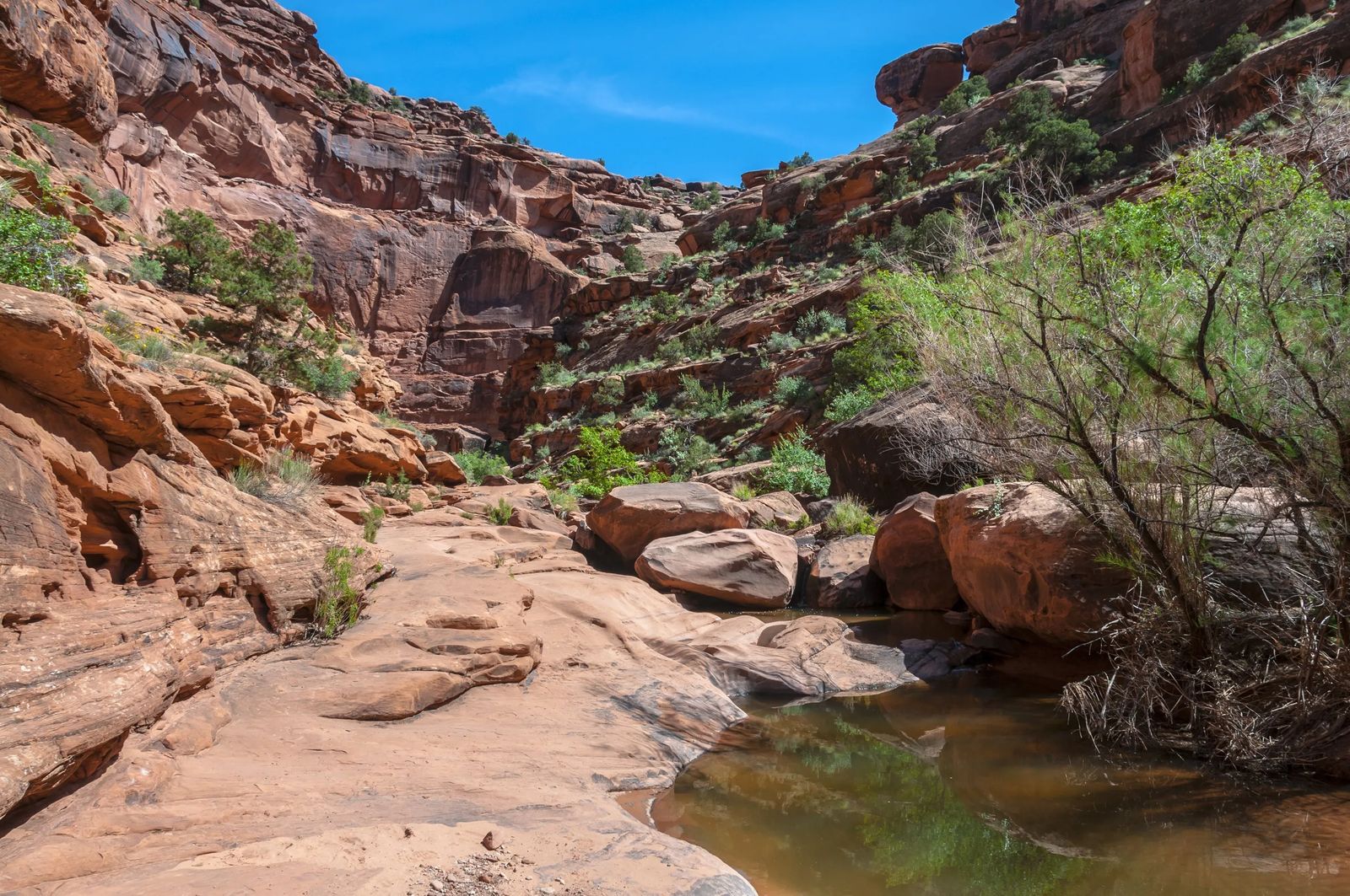 Dog Friendly Guide To Moab - Culture Trekking - #DogsinMoab #HikesforDogsinMoab #MoabUtah