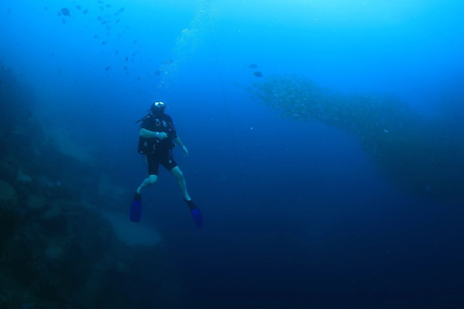 Scuba Diving among fish in cabo san lucas