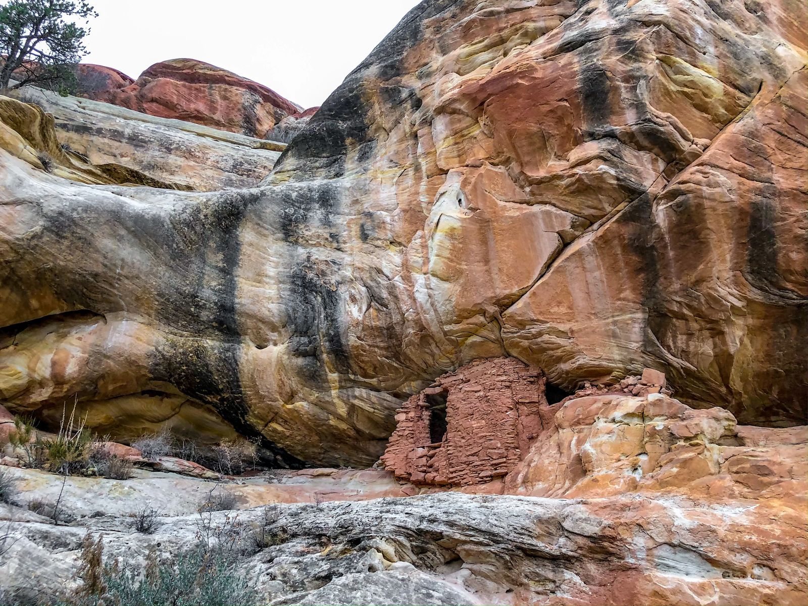 Lower Mule Canyon Ruins - Things to do in Blanding Utah