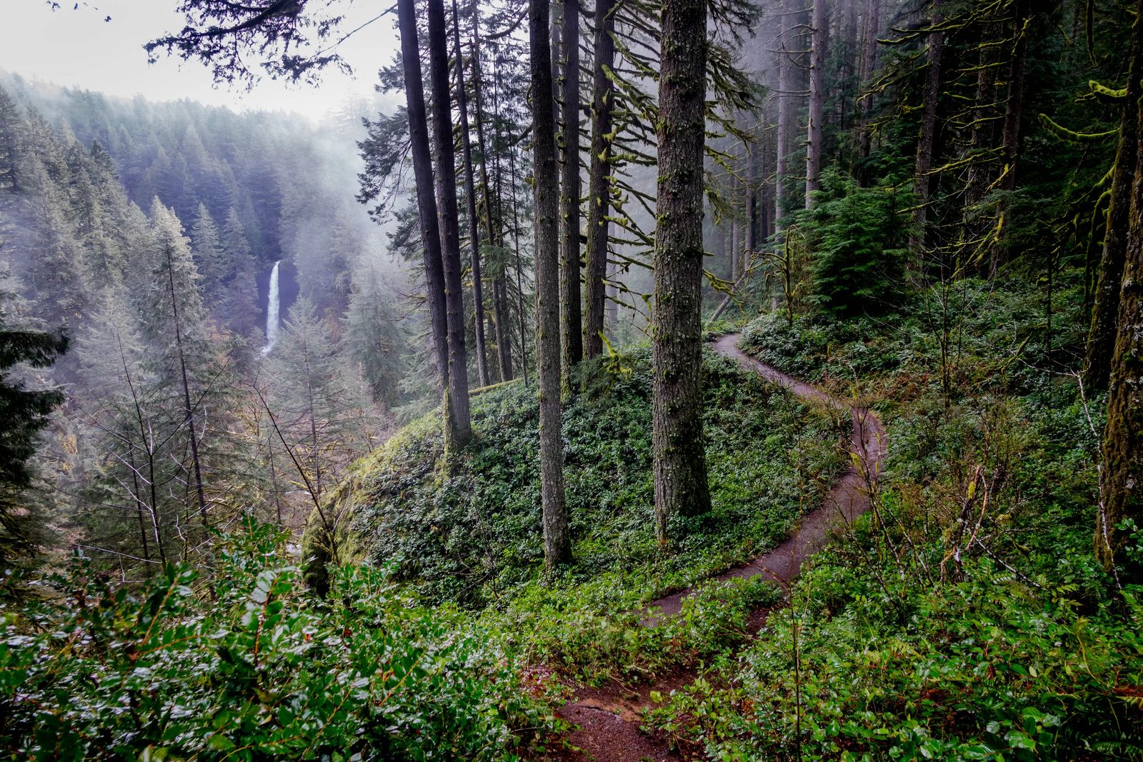 Oregon Coast Camping Road trip