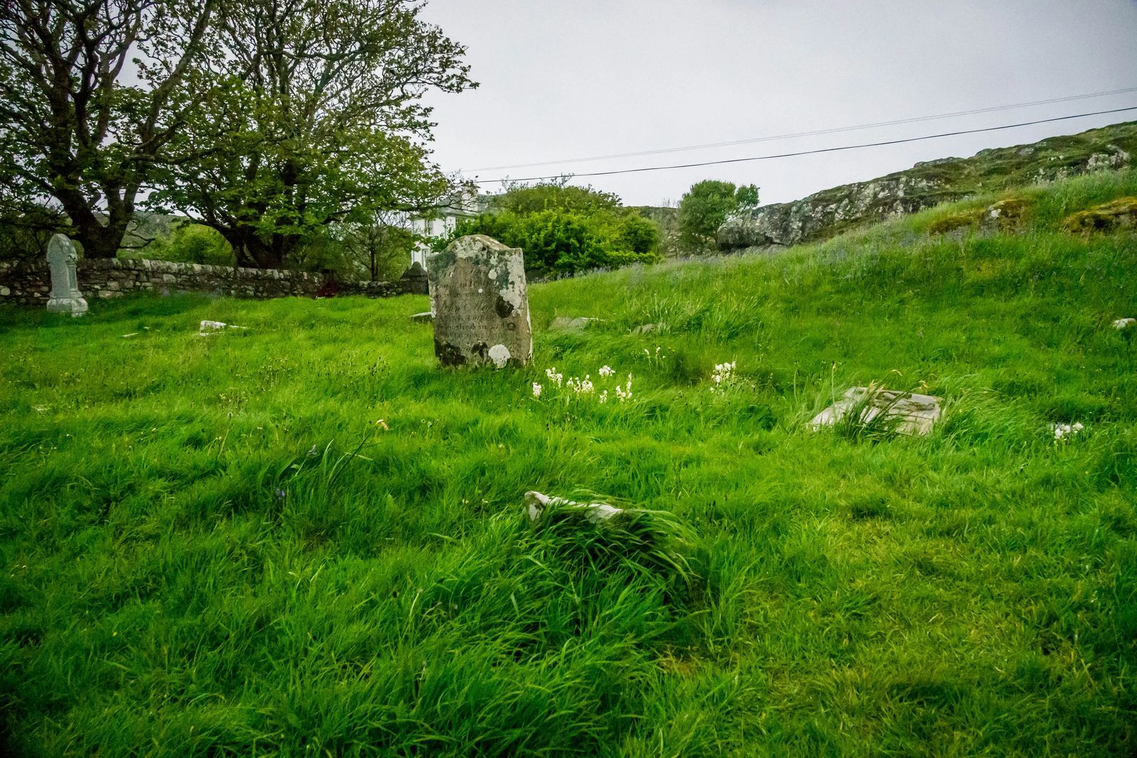 Iona Abbey