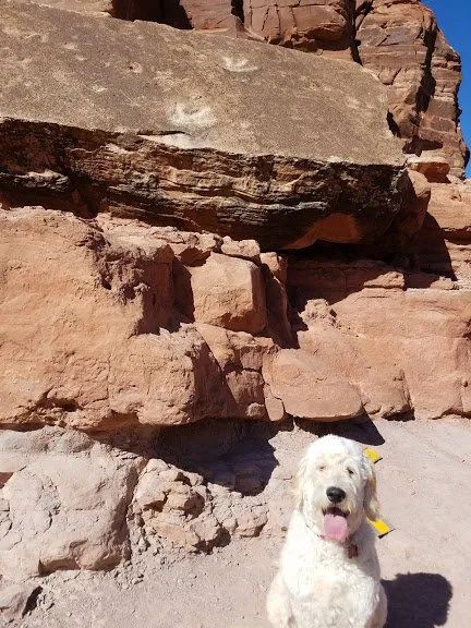 Dog Friendly Guide To Moab - Culture Trekking - #DogsinMoab #HikesforDogsinMoab #MoabUtah