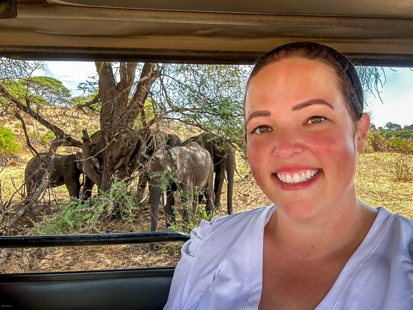 Tarangire Park Safari On A Budget