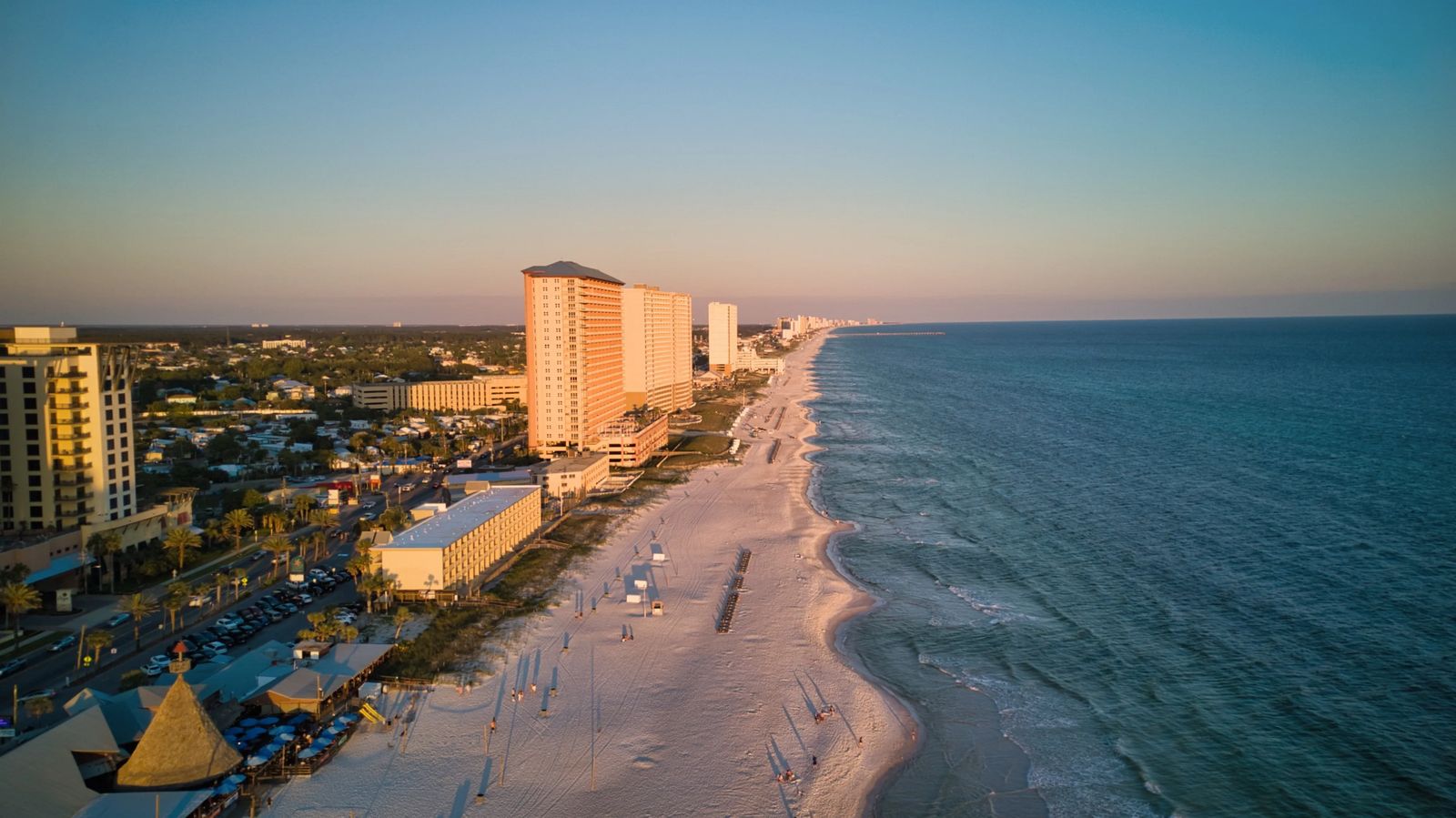 Saving Sea Turtles in Florida