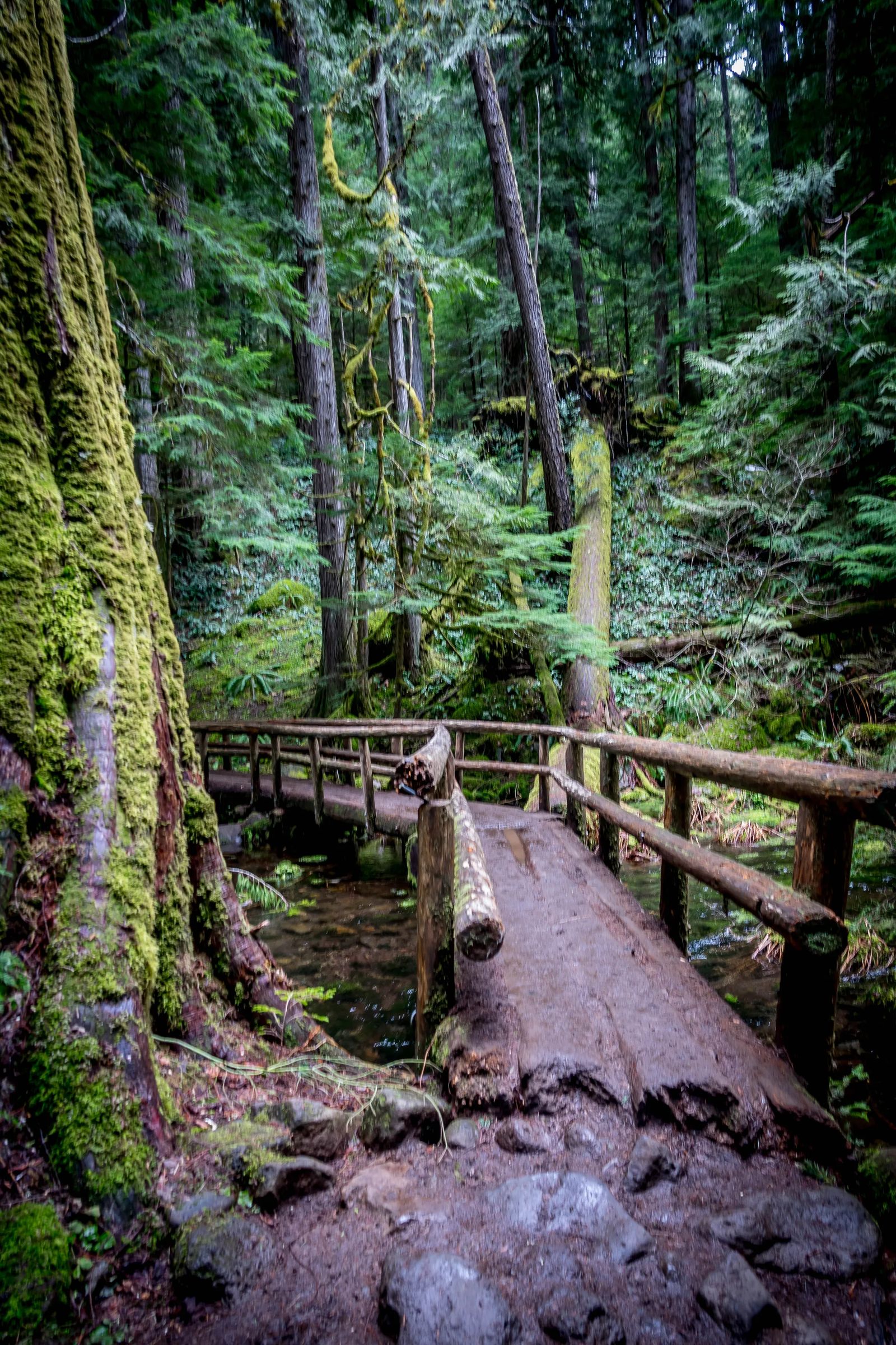 Oregon Coast Camping Road trip