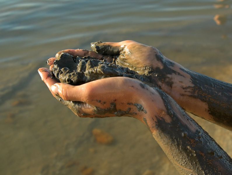 Ил фото в воде