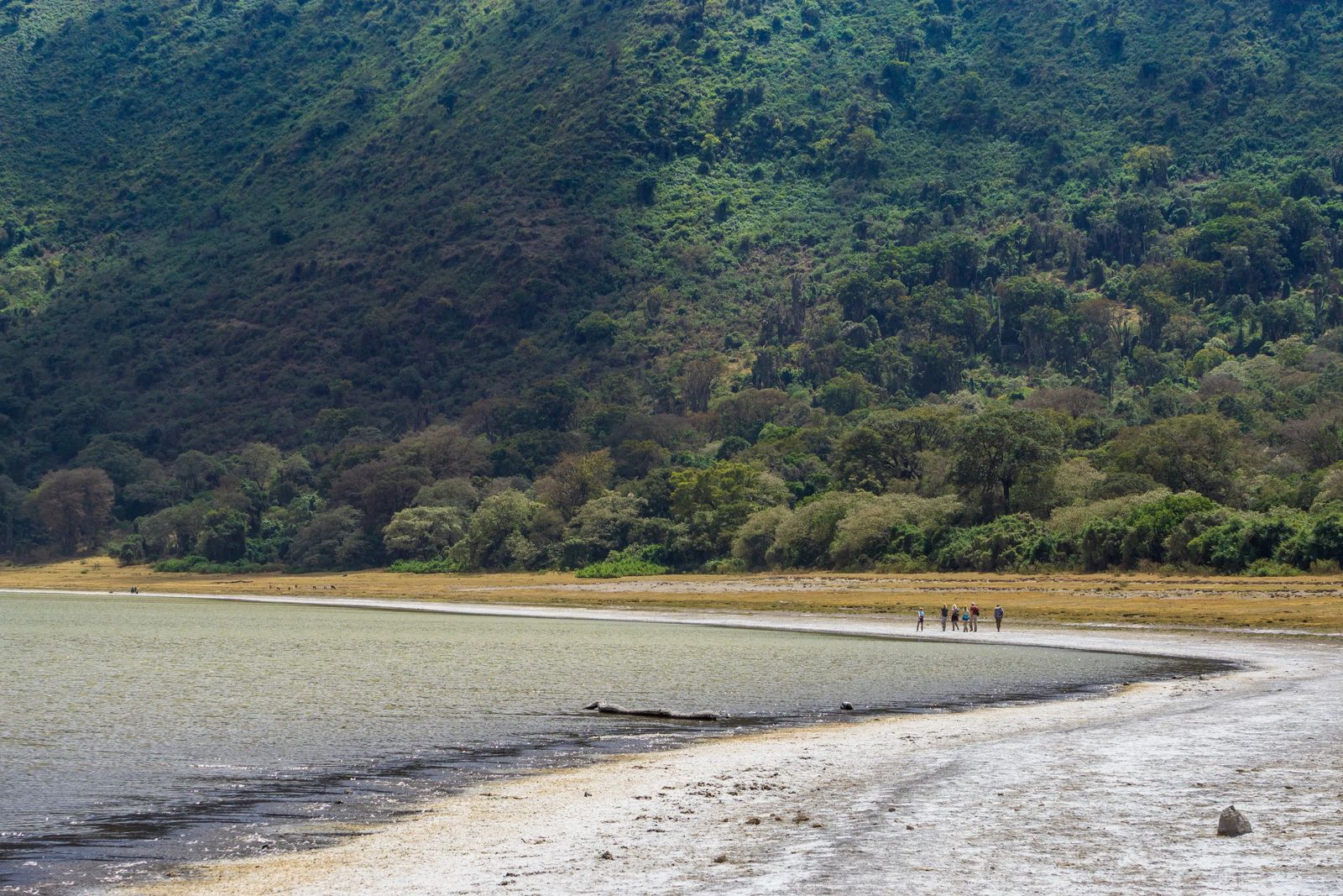 Ngorongoro Crater Safari salt lake