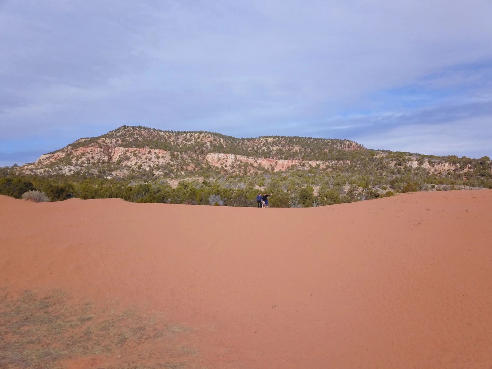 Coral Pink Sanddunes in Kanab