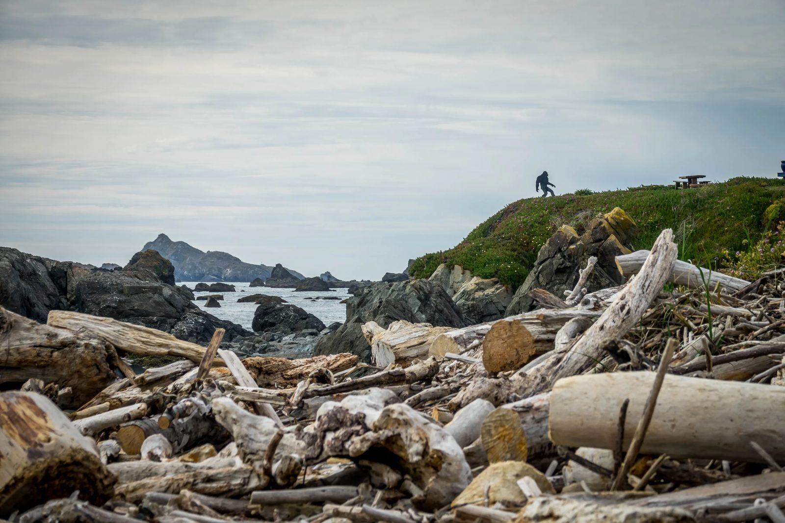 Things to do in Crescent City California
