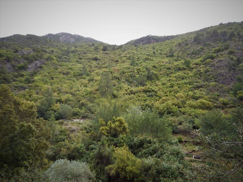 Hiking to Akchour Waterfalls in Morocco