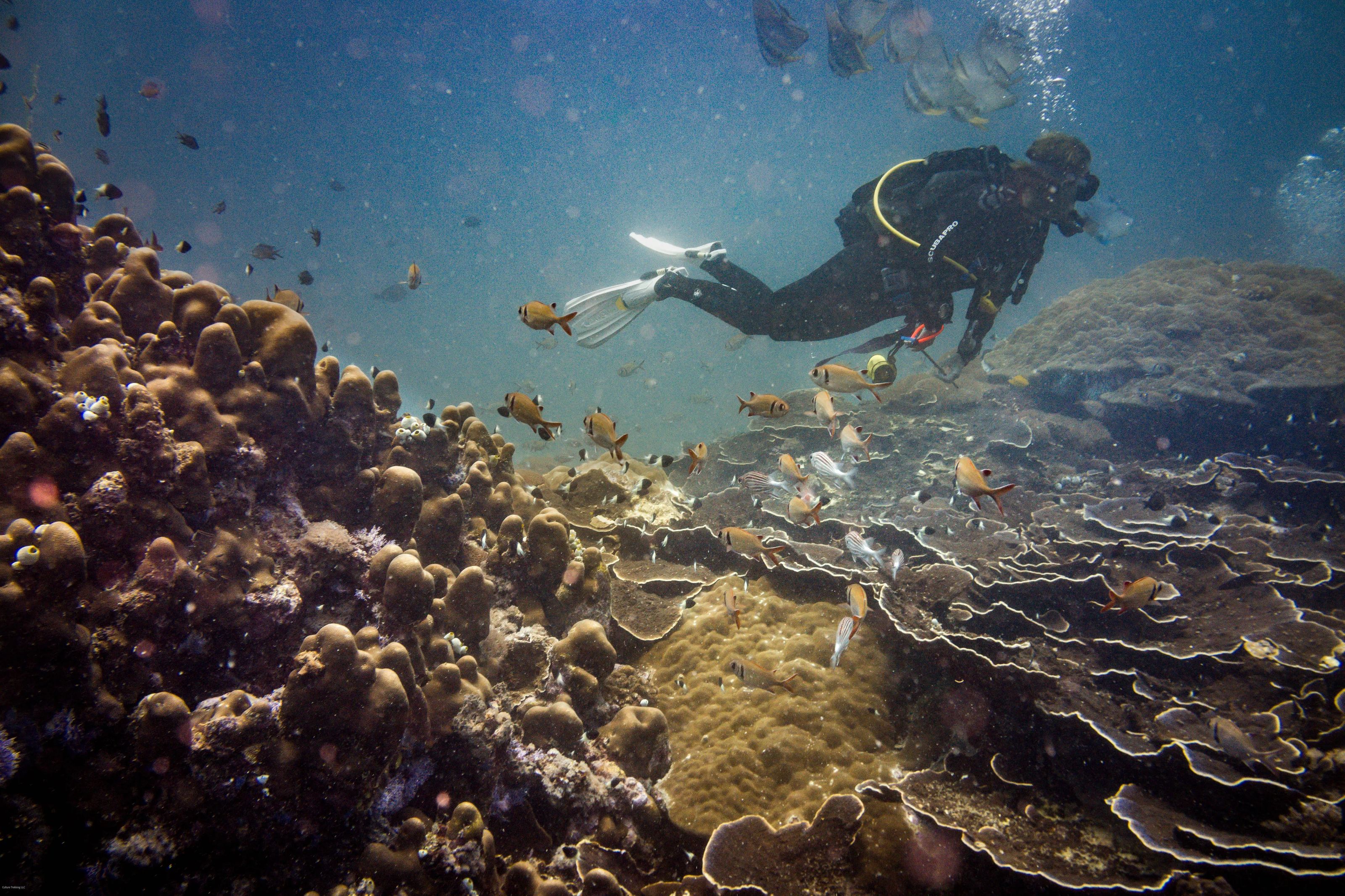 Scuba Diving in Nungwi Zanzibar