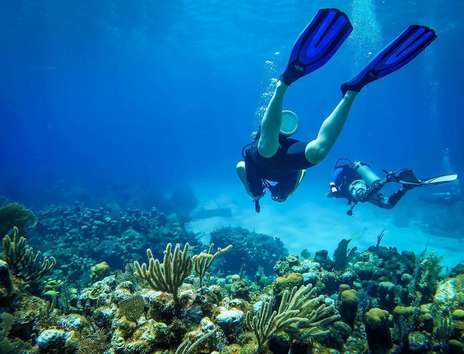 Top Diving Locations Around the World