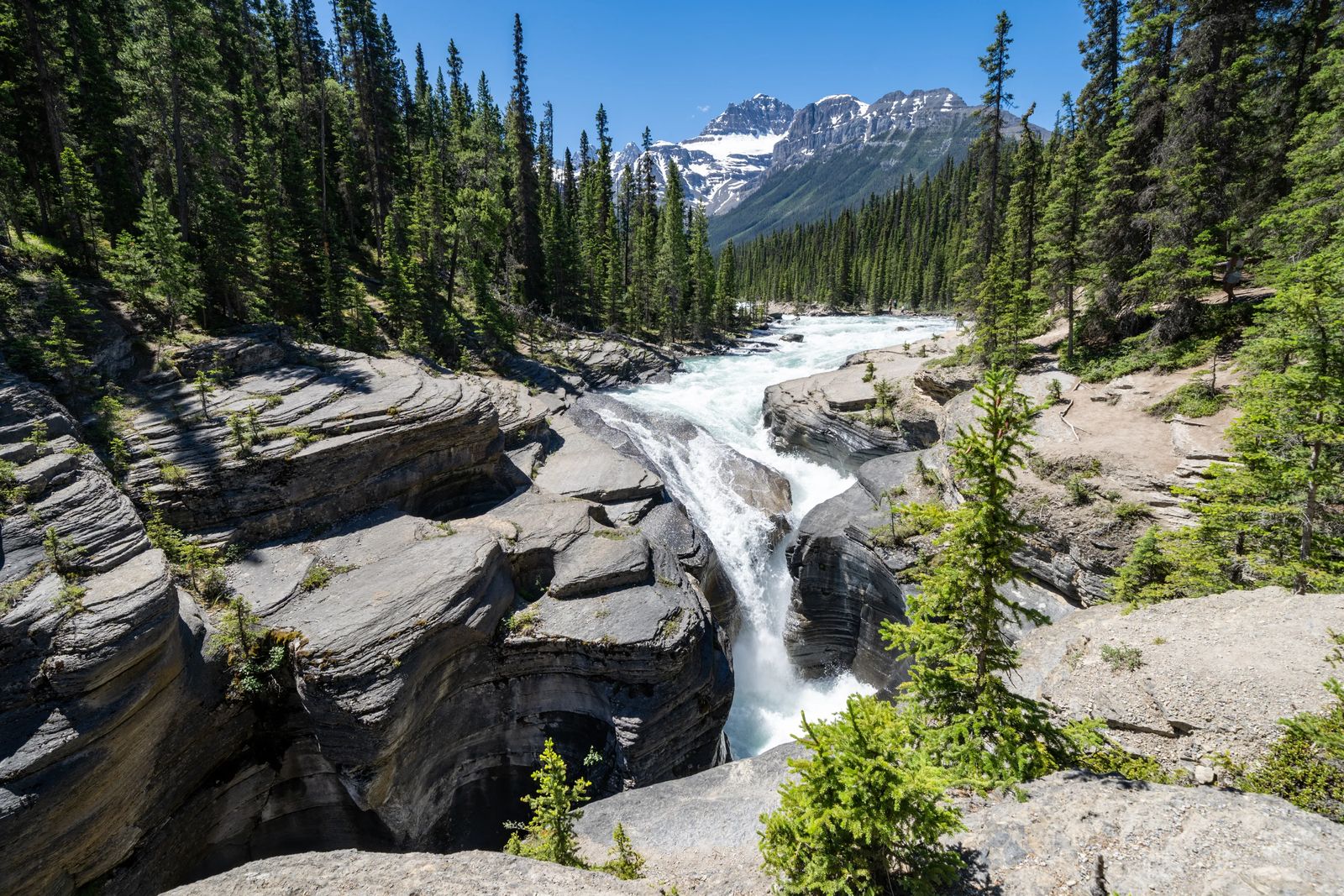 river cutting through mistaya canyon - The BEST of the Icefields Parkway Banff