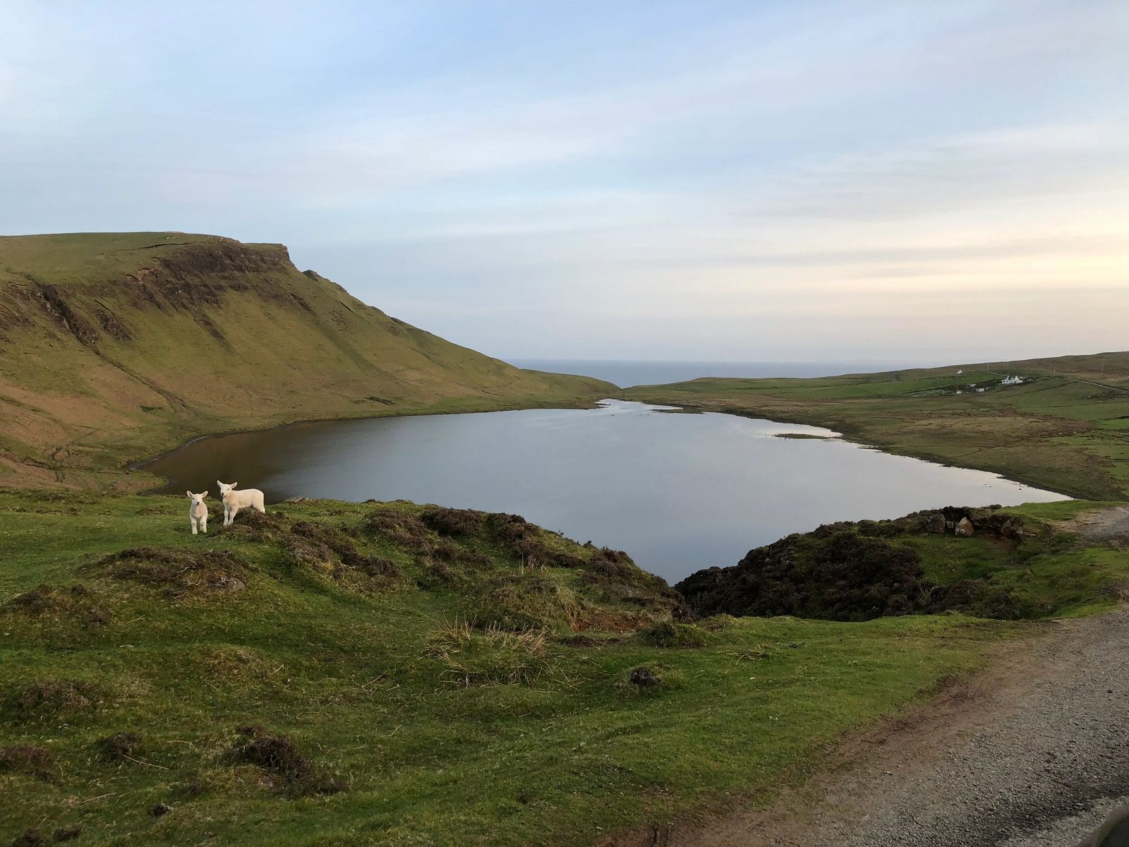 Fields near neist point lighthouse - Culture Trekking - #IsleofSkye #NeistPointLighthouse #scotland