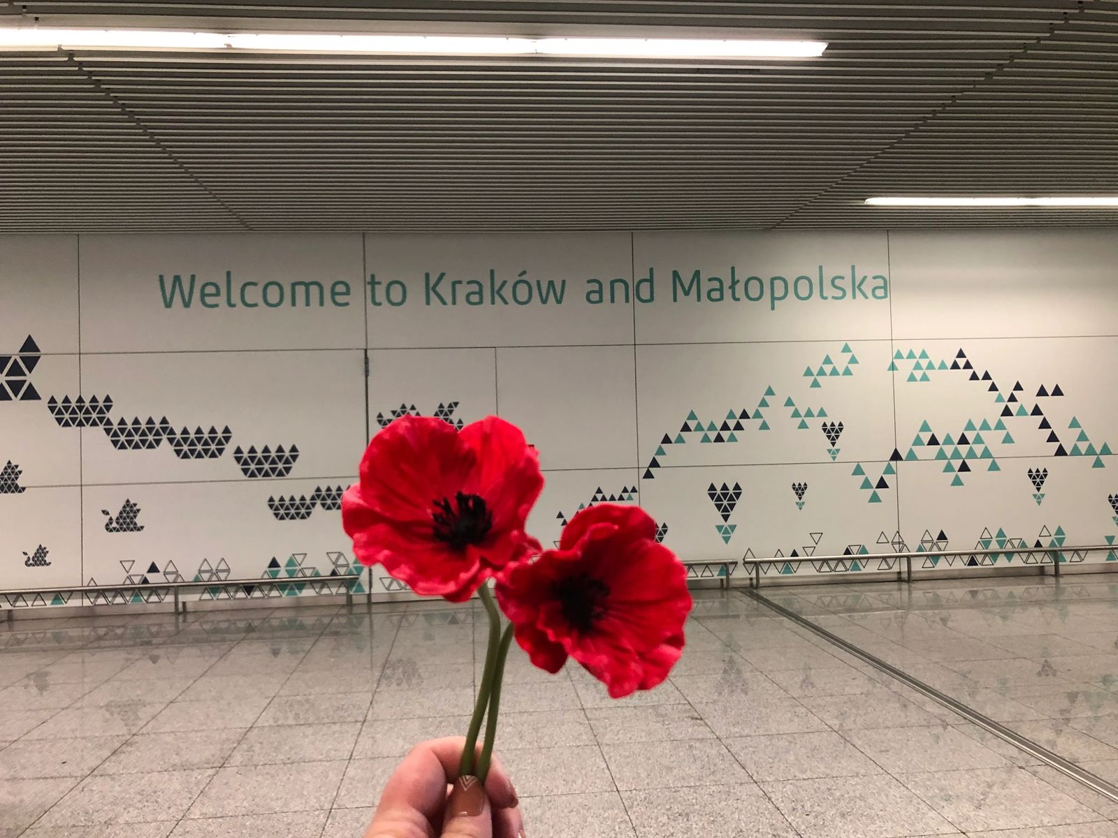 Welcome to Krakow