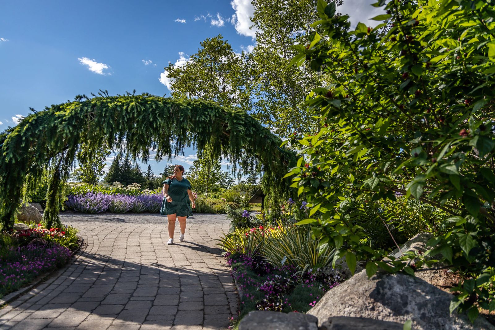 Janiel walking through an evergreen archway at Coastal Maine Botanical Gardens