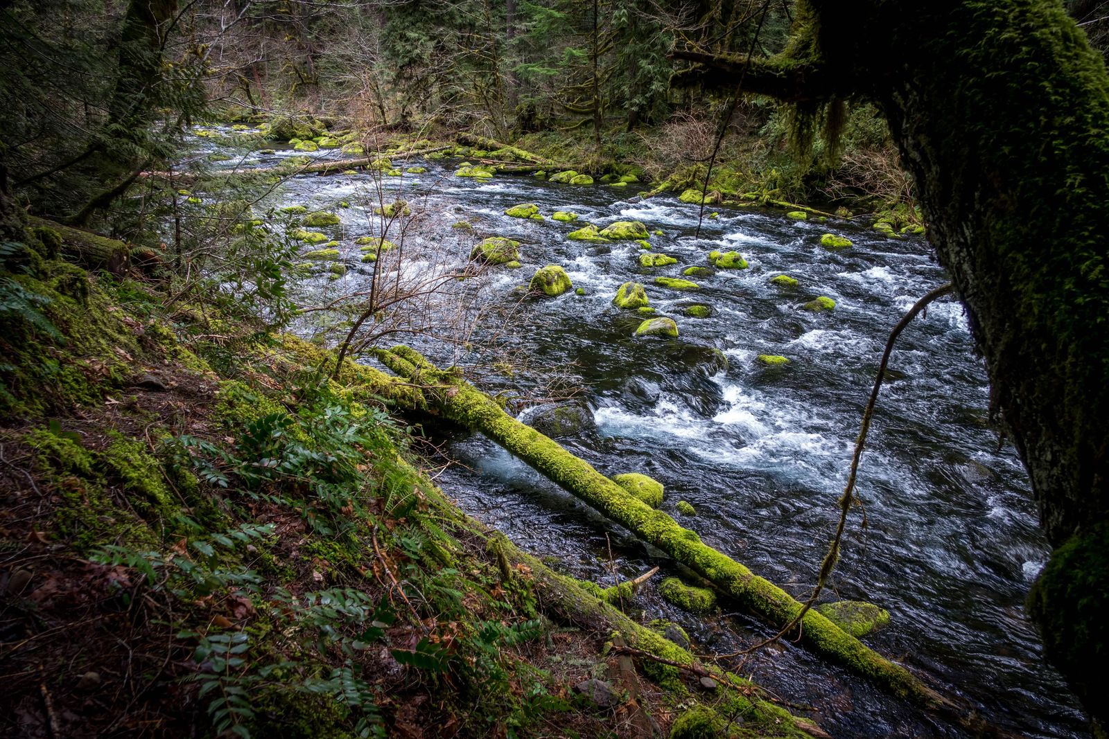 Oregon Coast Camping Road trip